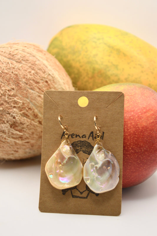 Abalone earrings