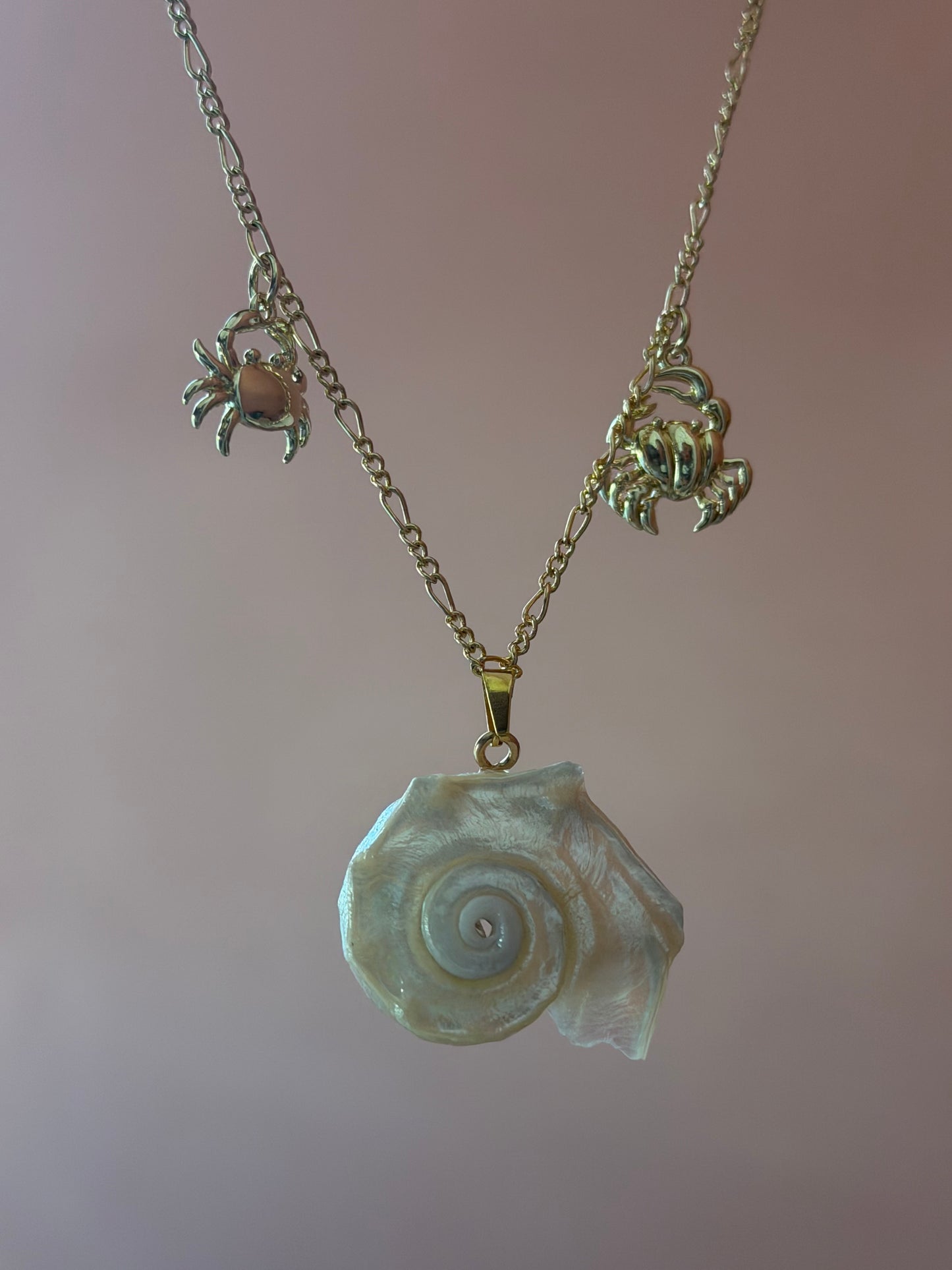 Concha Oro Necklace