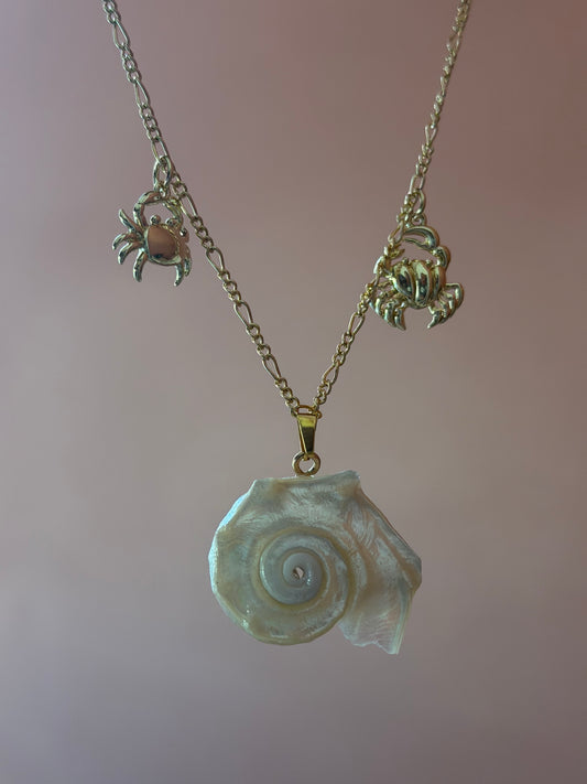 Concha Oro Necklace