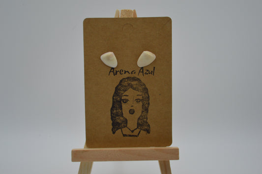 Coquina Seashell Earrings