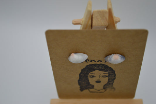 Calora Seashell Earrings