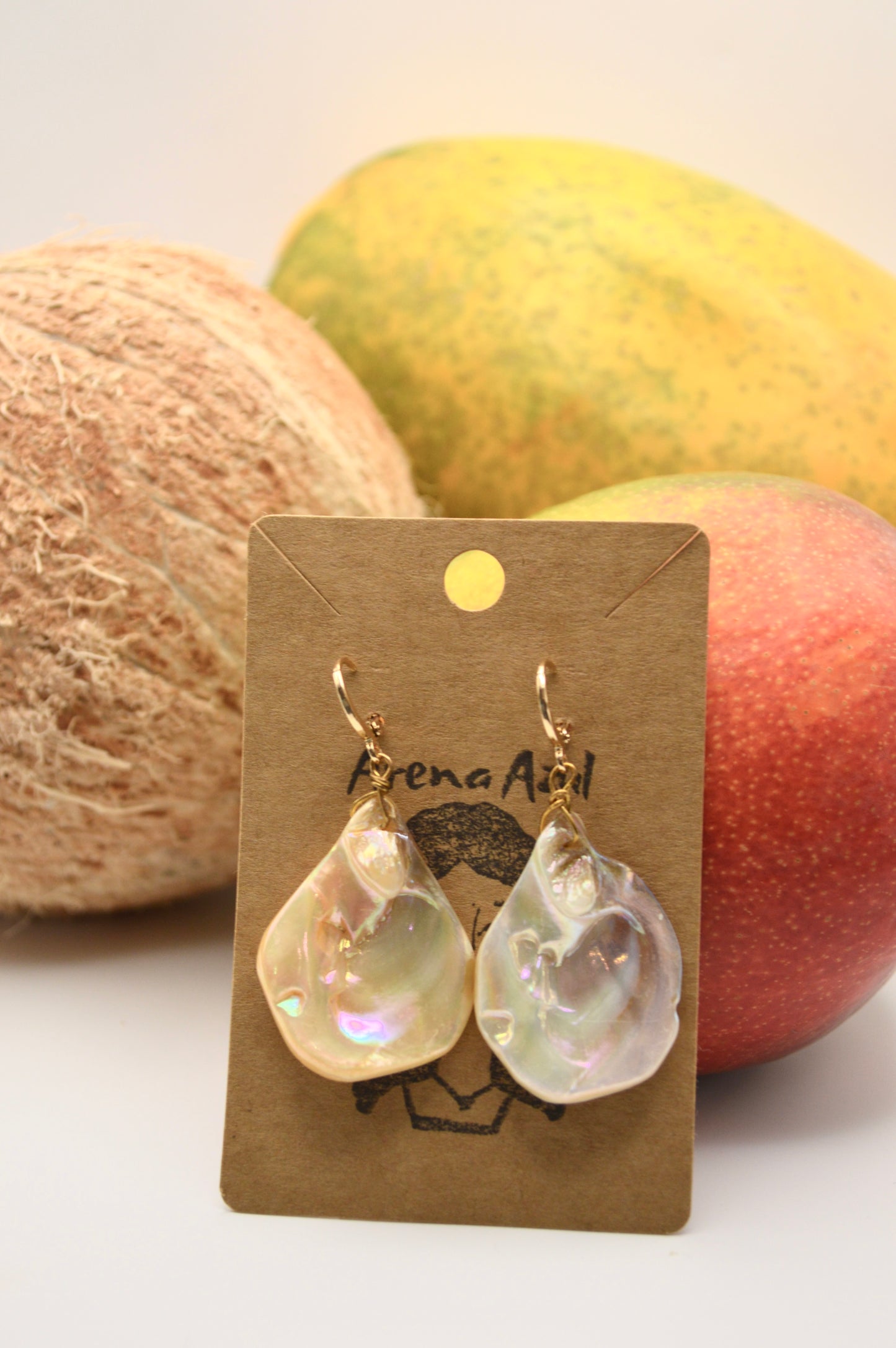 Abalone earrings