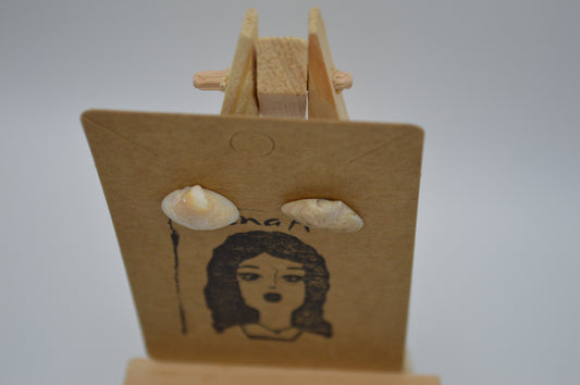 Sandy Seashell Earrings