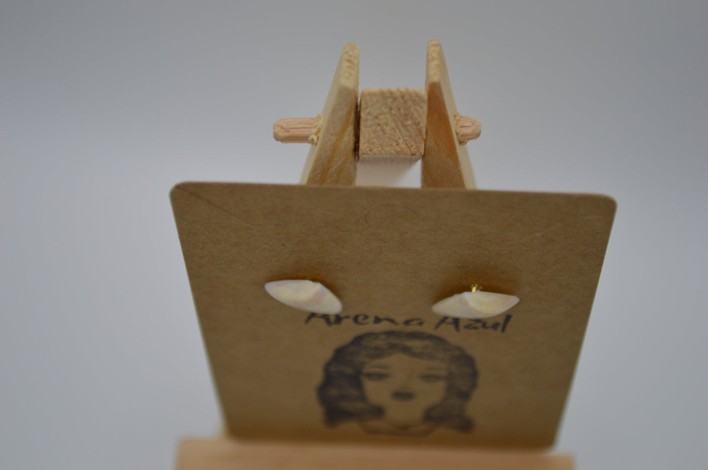 Coquina Seashell Earrings