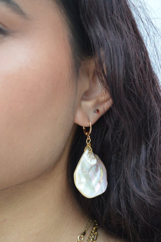 Abalone earrings