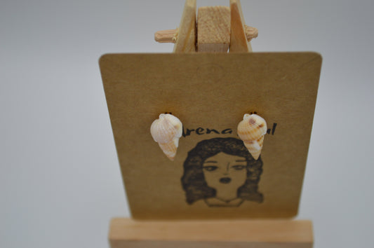 Sea Swirls Seashell Earrings