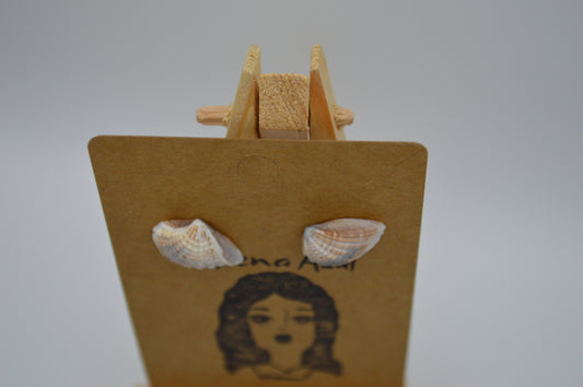 Sally Sells Seashells Earrings